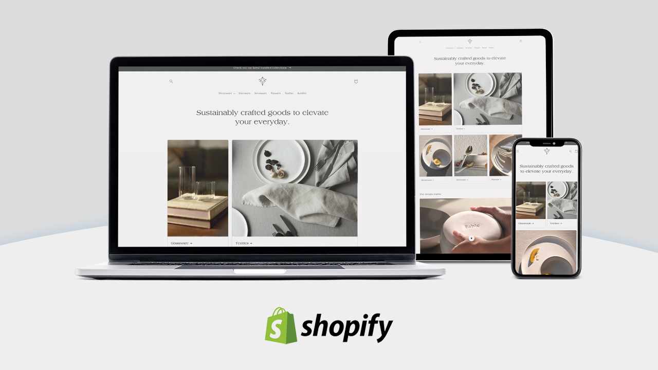 shopify ecommerce consultant
